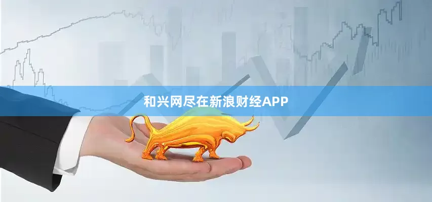 和兴网尽在新浪财经APP