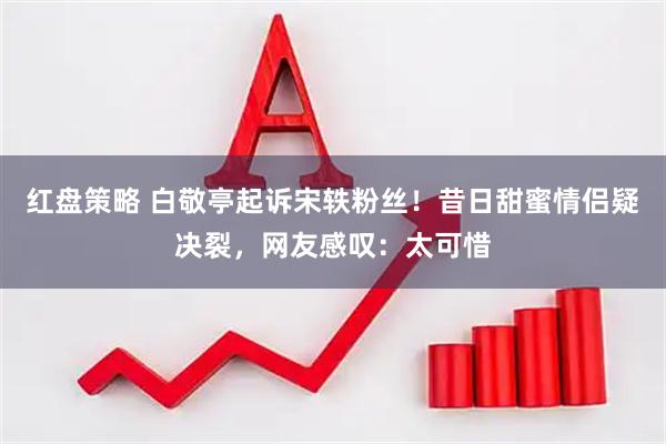 红盘策略 白敬亭起诉宋轶粉丝！昔日甜蜜情侣疑决裂，网友感叹：太可惜