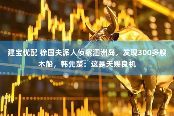 建宝优配 徐国夫派人侦察涠洲岛，发现300多艘木船，韩先楚：这是天赐良机